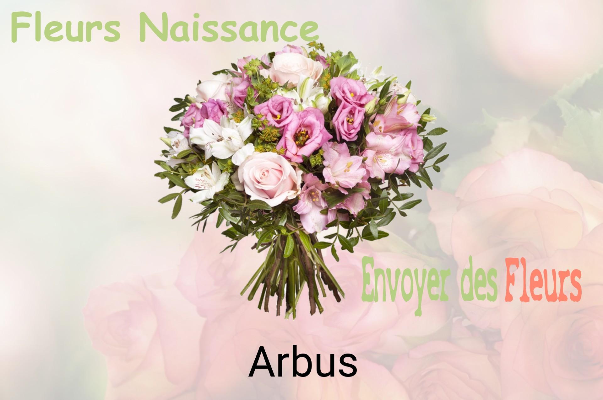 Bouquet de fleurs de naissance livré à Arbus